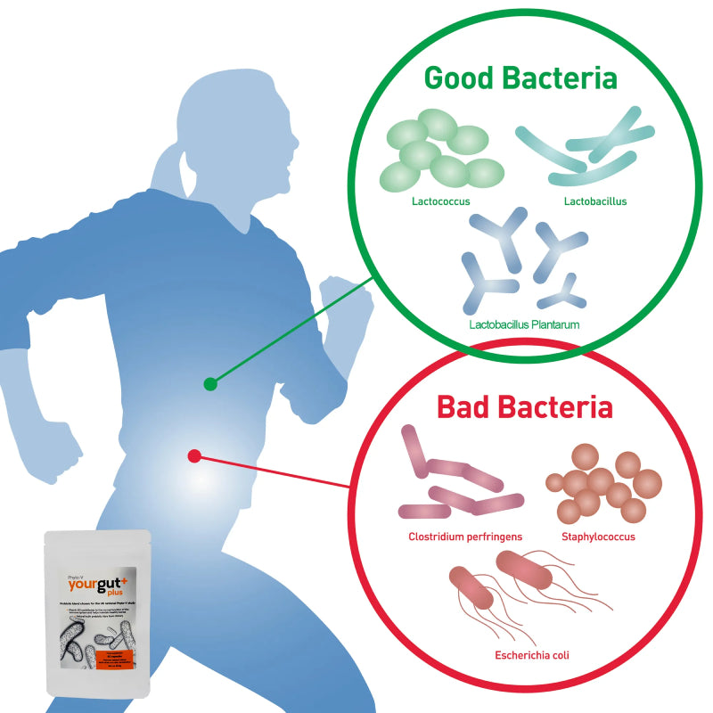YourgutPlus+